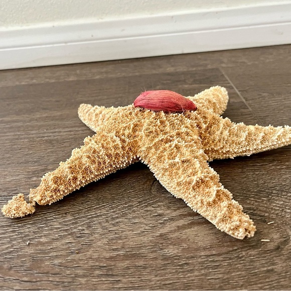 Decorative Starfish Set with Pink Accent - Picture 8 of 13